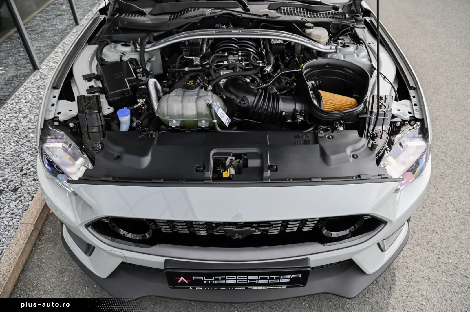 FORD Mustang 5.0 Ti-VCT V8 Aut Mach 1 Navi  MagneRide
