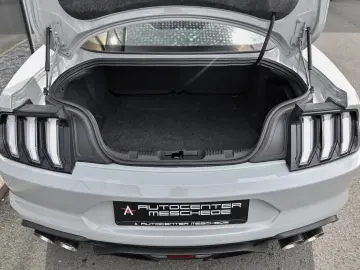 FORD Mustang 5.0 Ti-VCT V8 Aut Mach 1 Navi  MagneRide