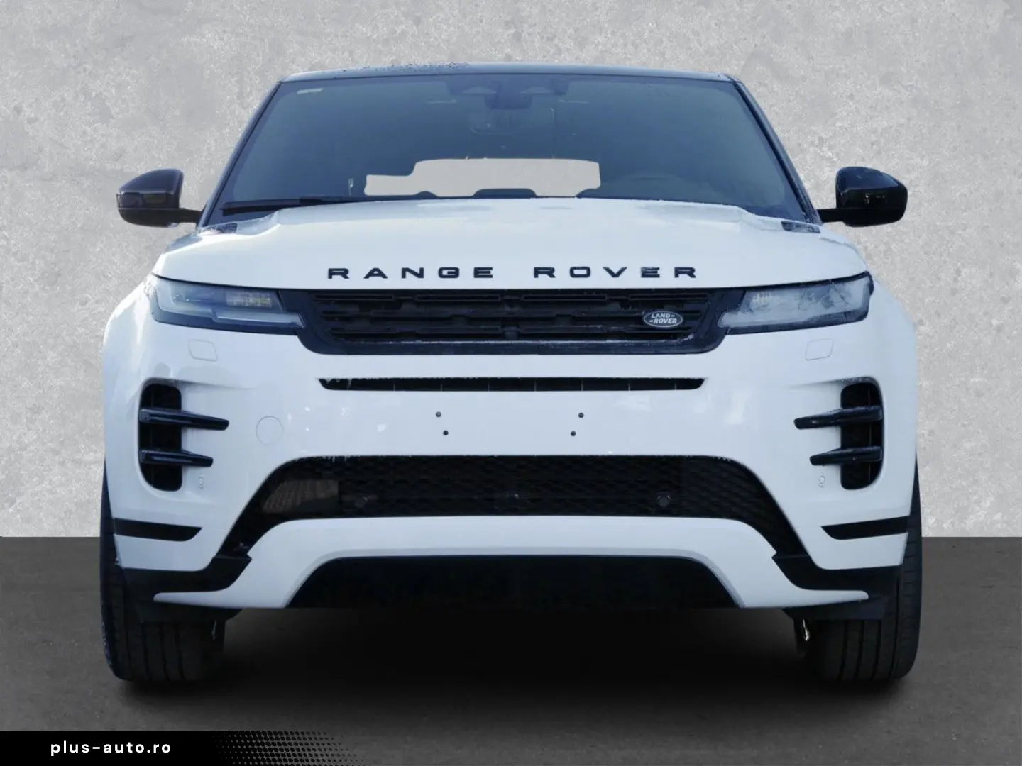 LAND ROVER Range Rover Evoque Dynamic SEbis2029Garantie