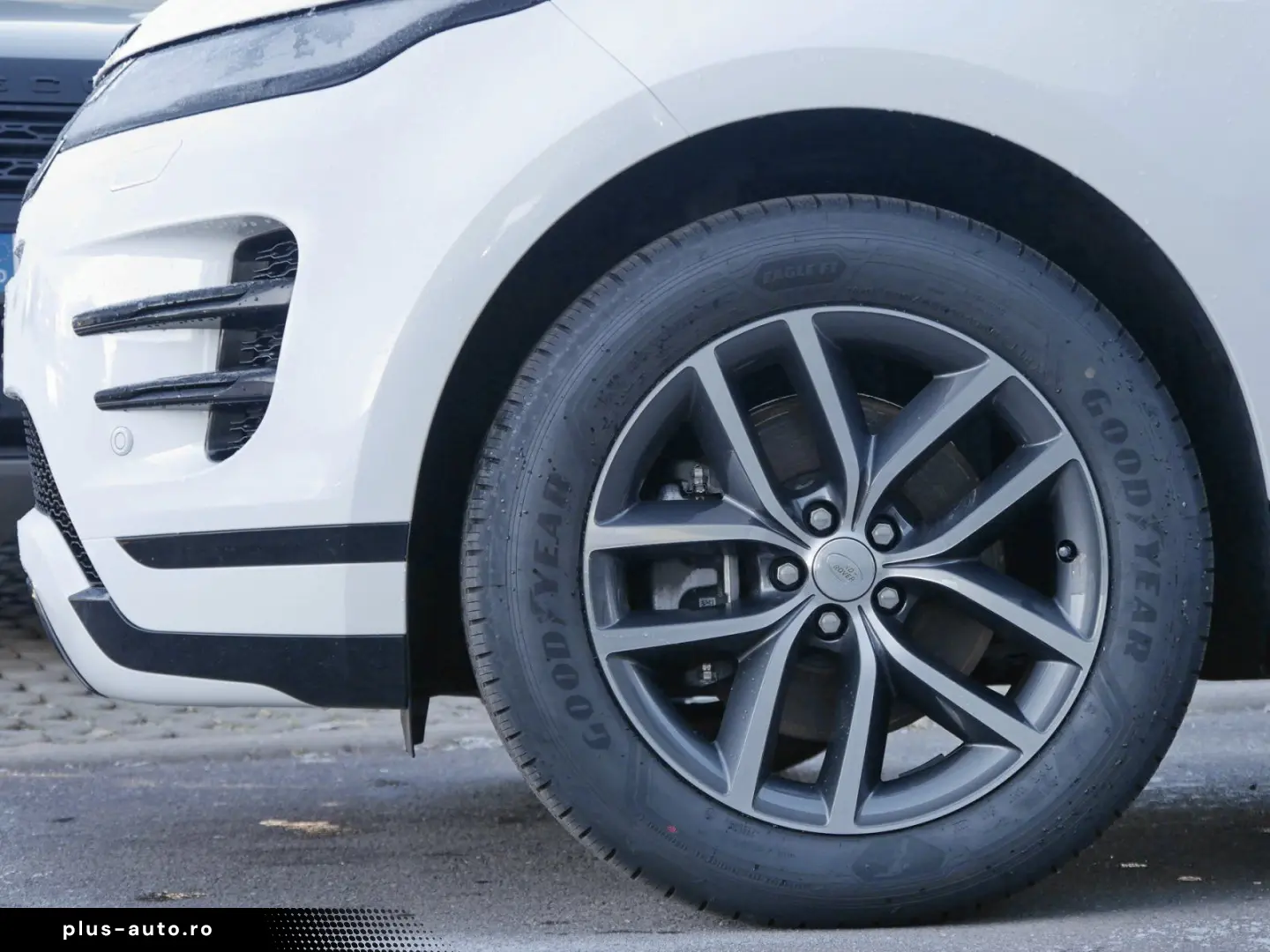 LAND ROVER Range Rover Evoque Dynamic SEbis2029Garantie