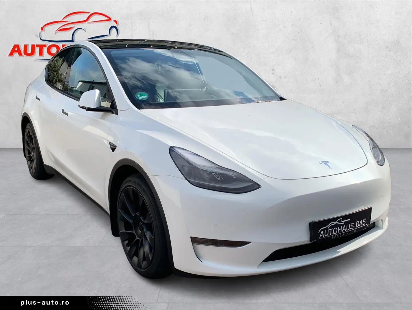 TESLA Model Y Long Range AWD  20