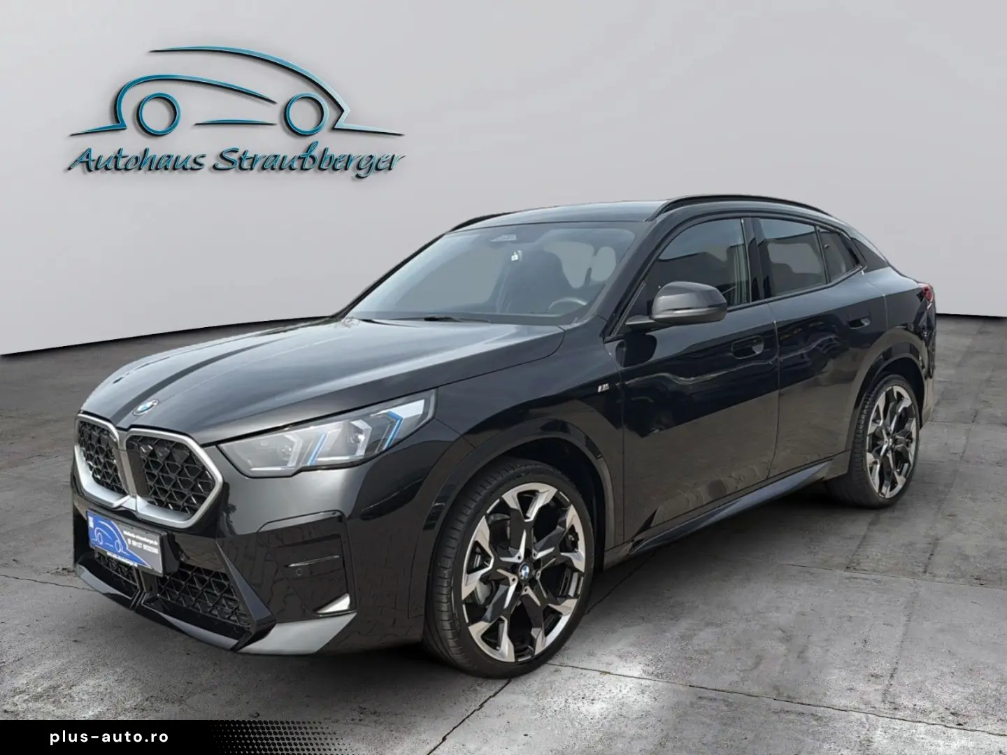 BMW X2 20 d xDrive M Sport AHK ACC 2ZK adaptive LED