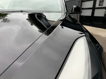 TESLA Model 3 Performance AWD PANORAMA KAMERA 20