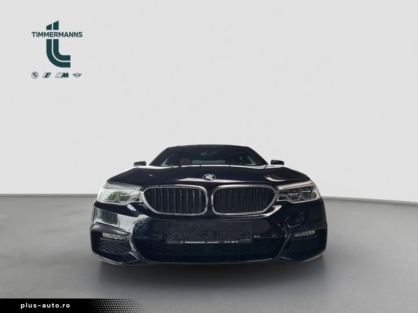 BMW 530e xDrive M Sport AdLED DrAss DAB HiFi