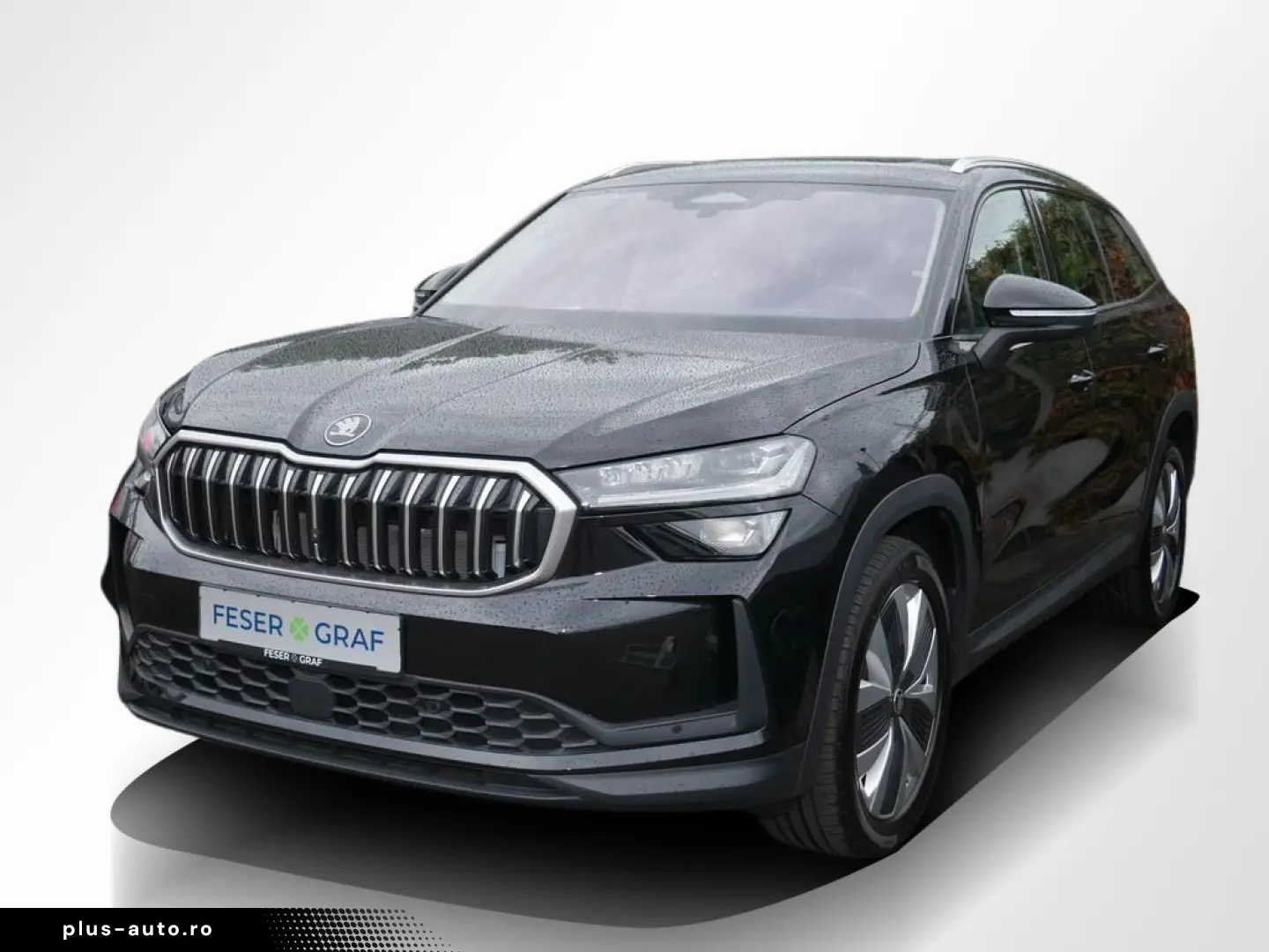 SKODA Kodiaq 1.5 TSI Selection AHK Leder Nav Pano 360