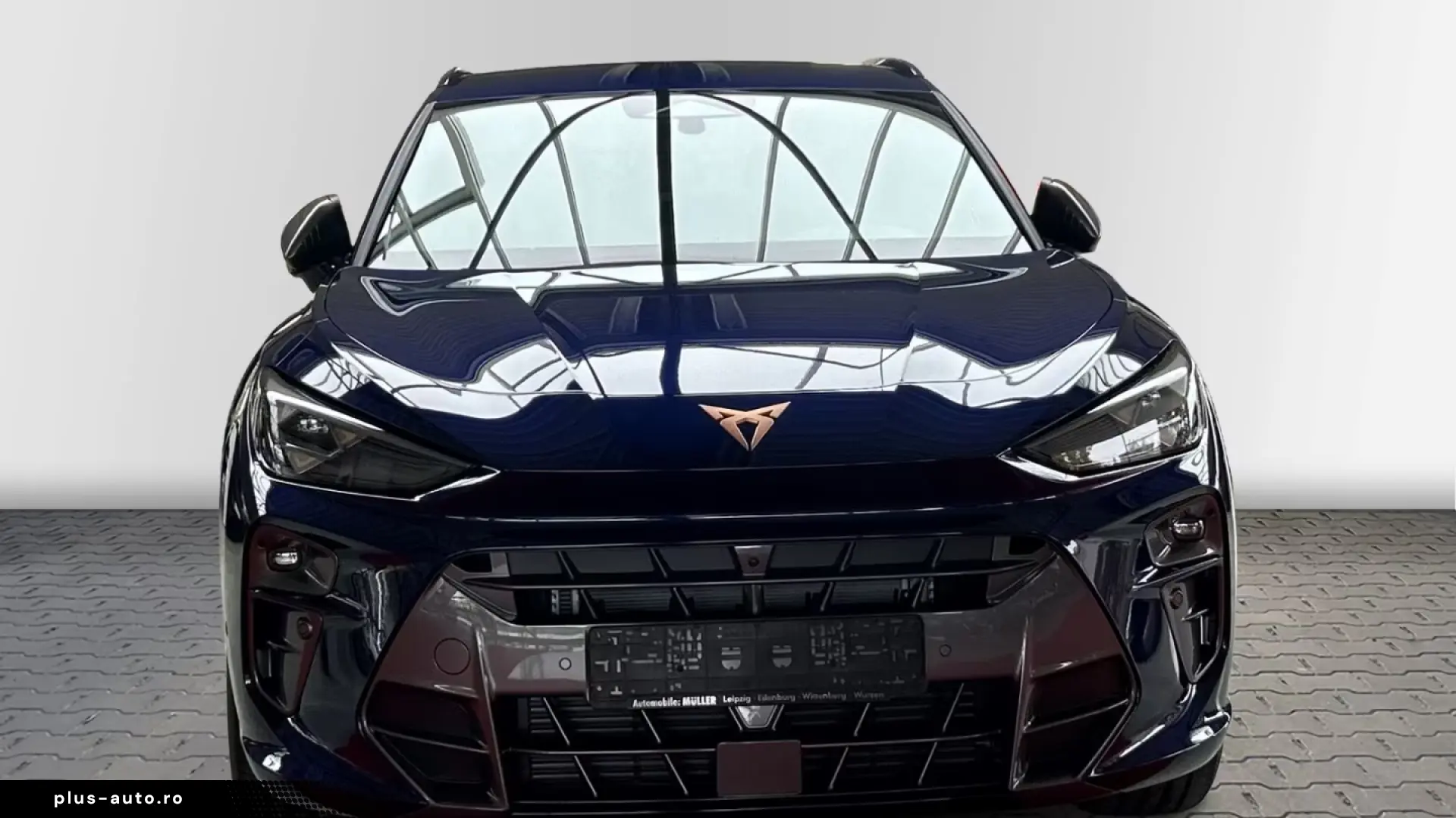 Cupra Terramar 110 kW 1.5 eTSI 110kW 150PS DSG LED Nav