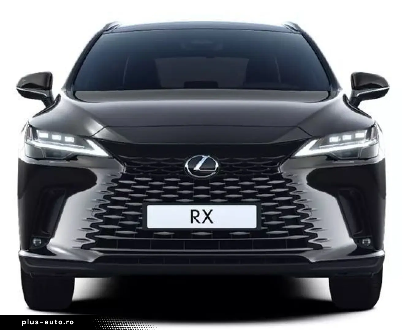 LEXUS RX 350h LUXURY    Panoramadach