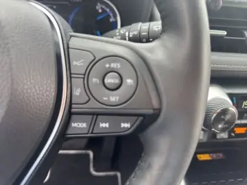 TOYOTA RAV4 Hybrid 4x4 Team Deutschland AHK