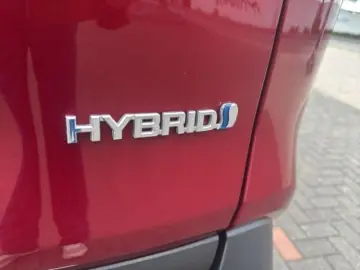 TOYOTA RAV4 Hybrid 4x4 Team Deutschland AHK