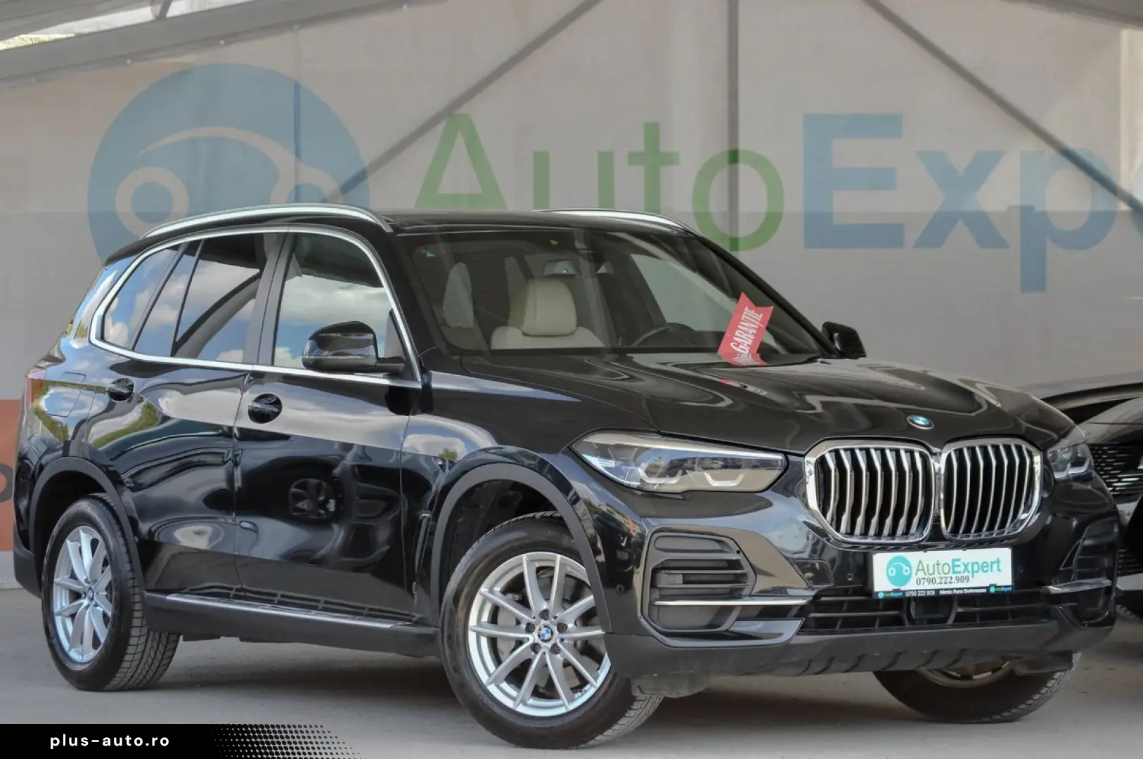 2021 BMW X5 xDrive25d AT 2.0 Diesel  RATE FIXE   Garanție