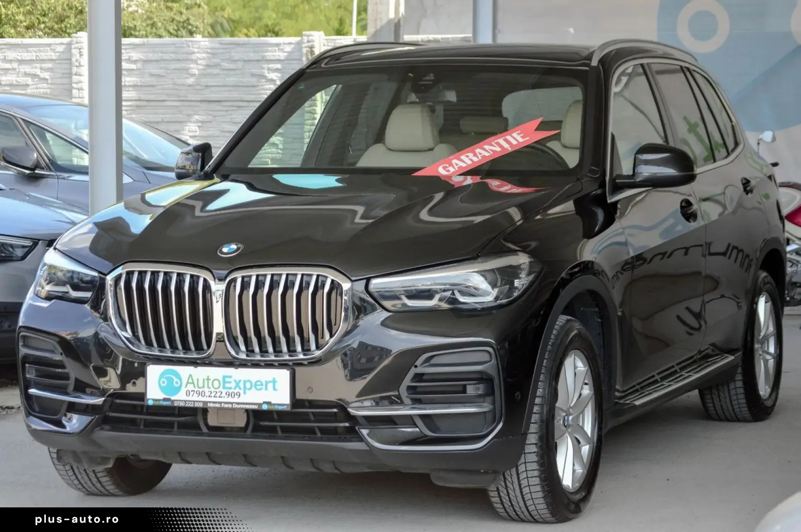 2021 BMW X5 xDrive25d AT 2.0 Diesel  RATE FIXE   Garanție