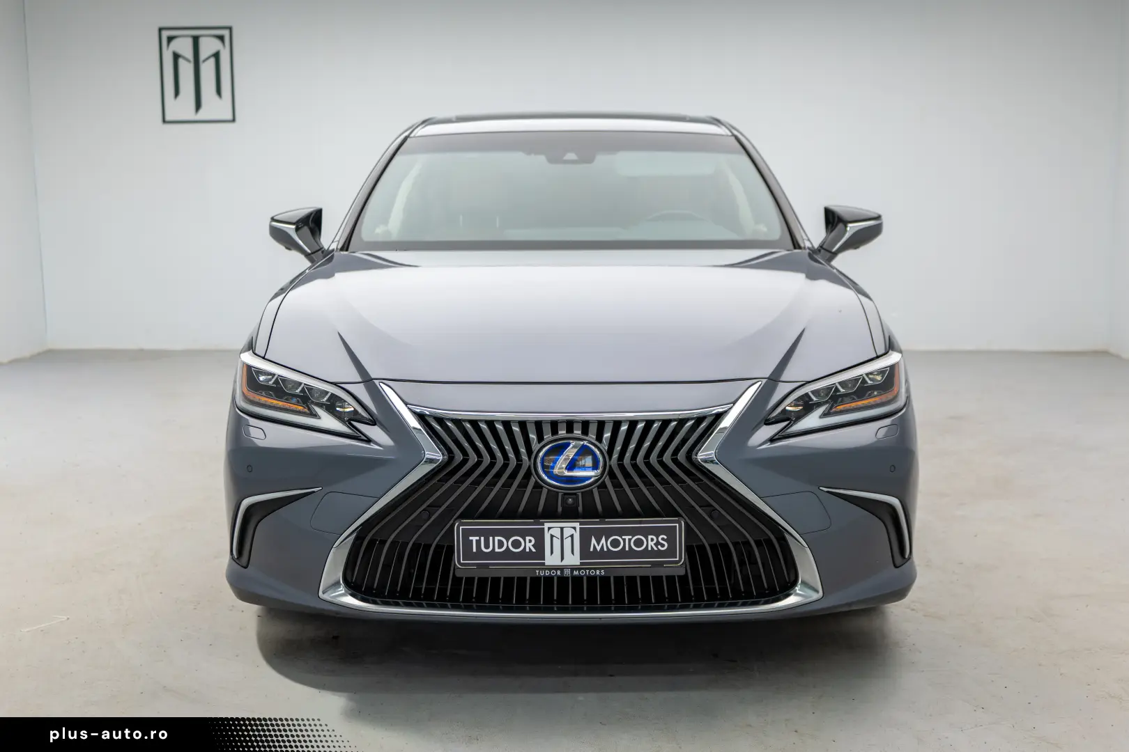 Lexus ES300h - Executive - Garantie - Istoric