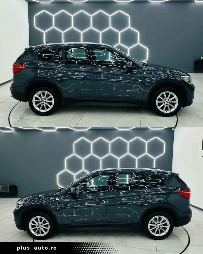 BMW X1 2017 2.0D E6 Garantie 12 Luni Rate Avans 0 Doar Cu Bu