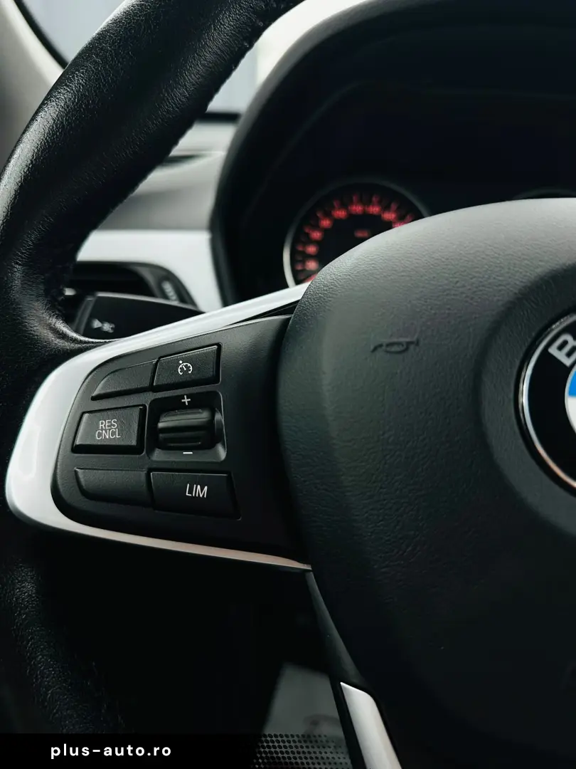 BMW X1 2017 2.0D E6 Garantie 12 Luni Rate Avans 0 Doar Cu Bu