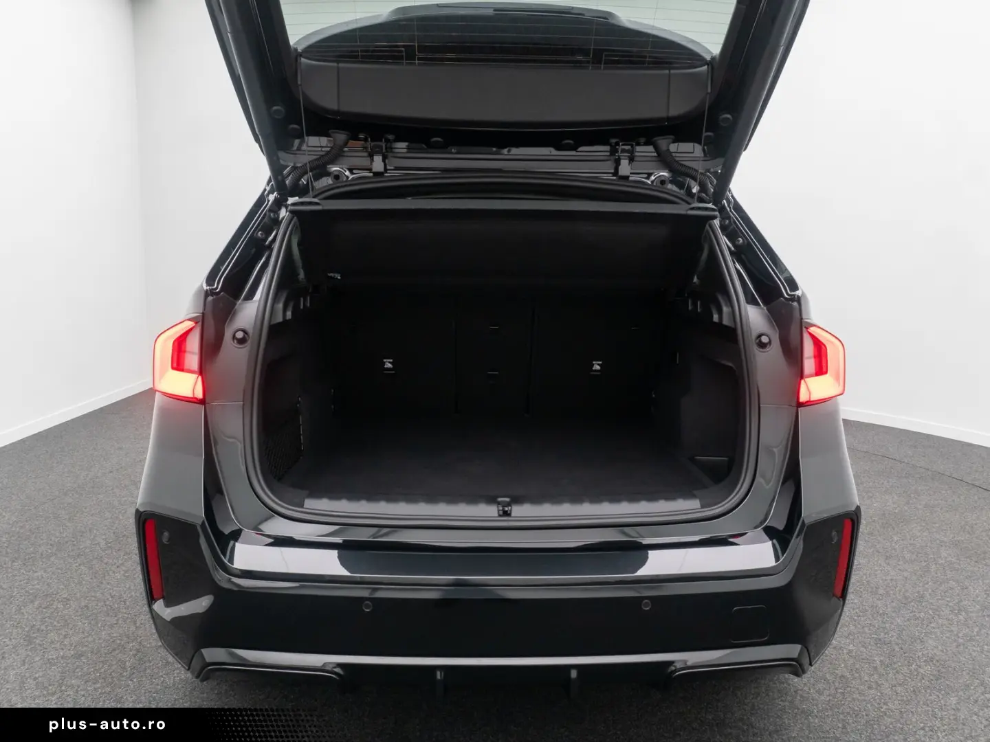 BMW X1 xD25e M Sport H K Kamera Panorama DAB Memory