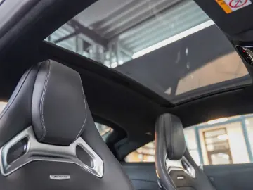 MERCEDES-BENZ AMG GT 43 kalaharigold MATTLACK Perfor…