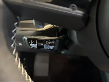 Porsche Cayenne E-Hybrid Black Edition HA-Lenkung