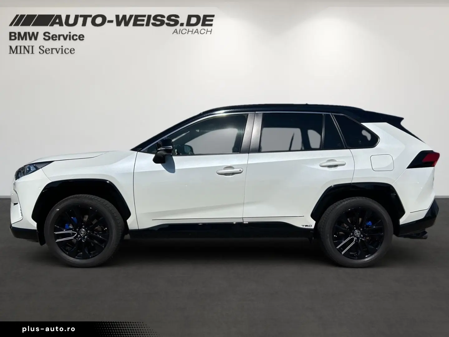 TOYOTA RAV 4 Hybrid 4x4 Style Selection Navi Soundsyste