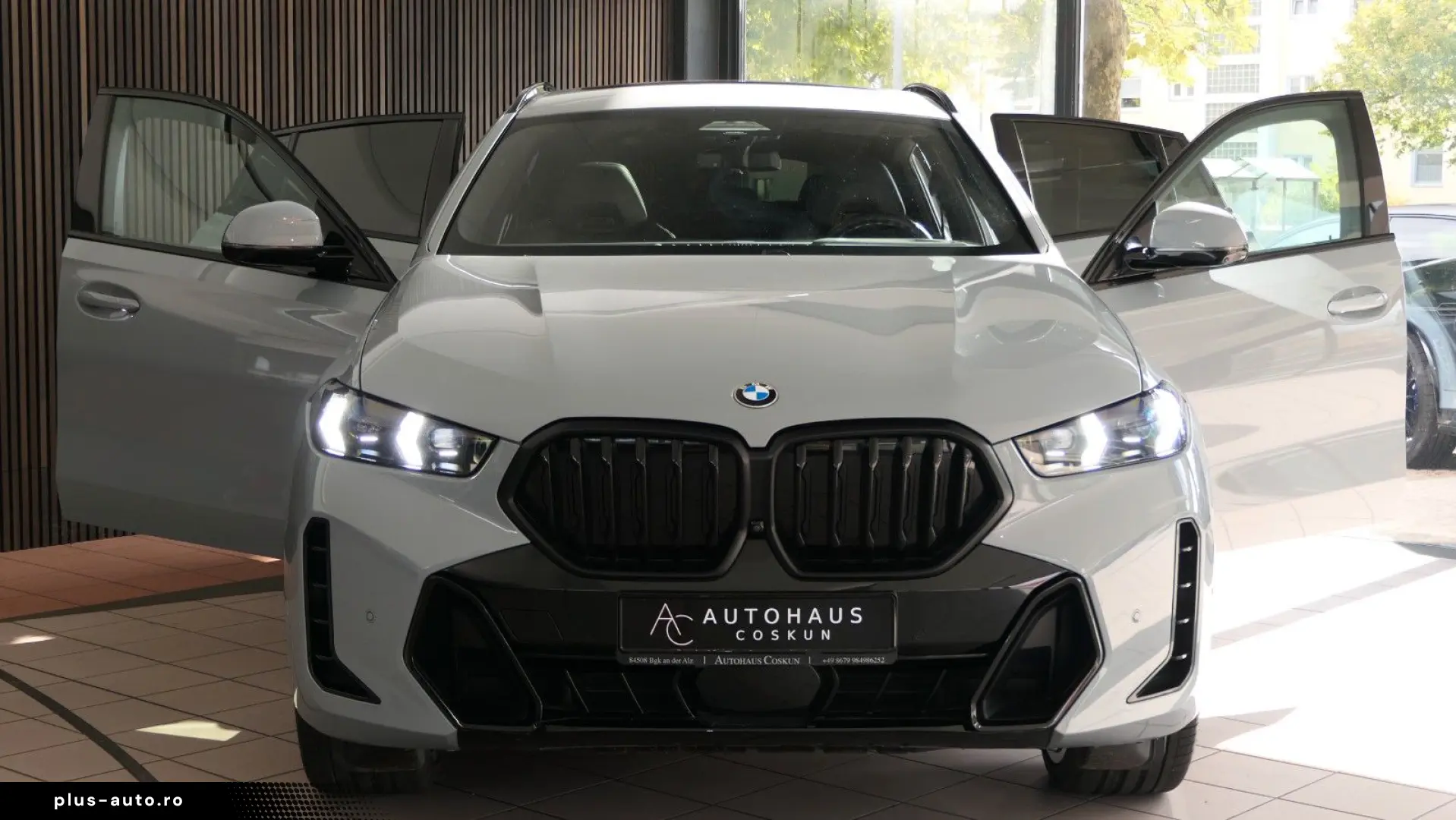 BMW X6 30 d xDrive M Sport SKY-Lounge ICONIC 22  360