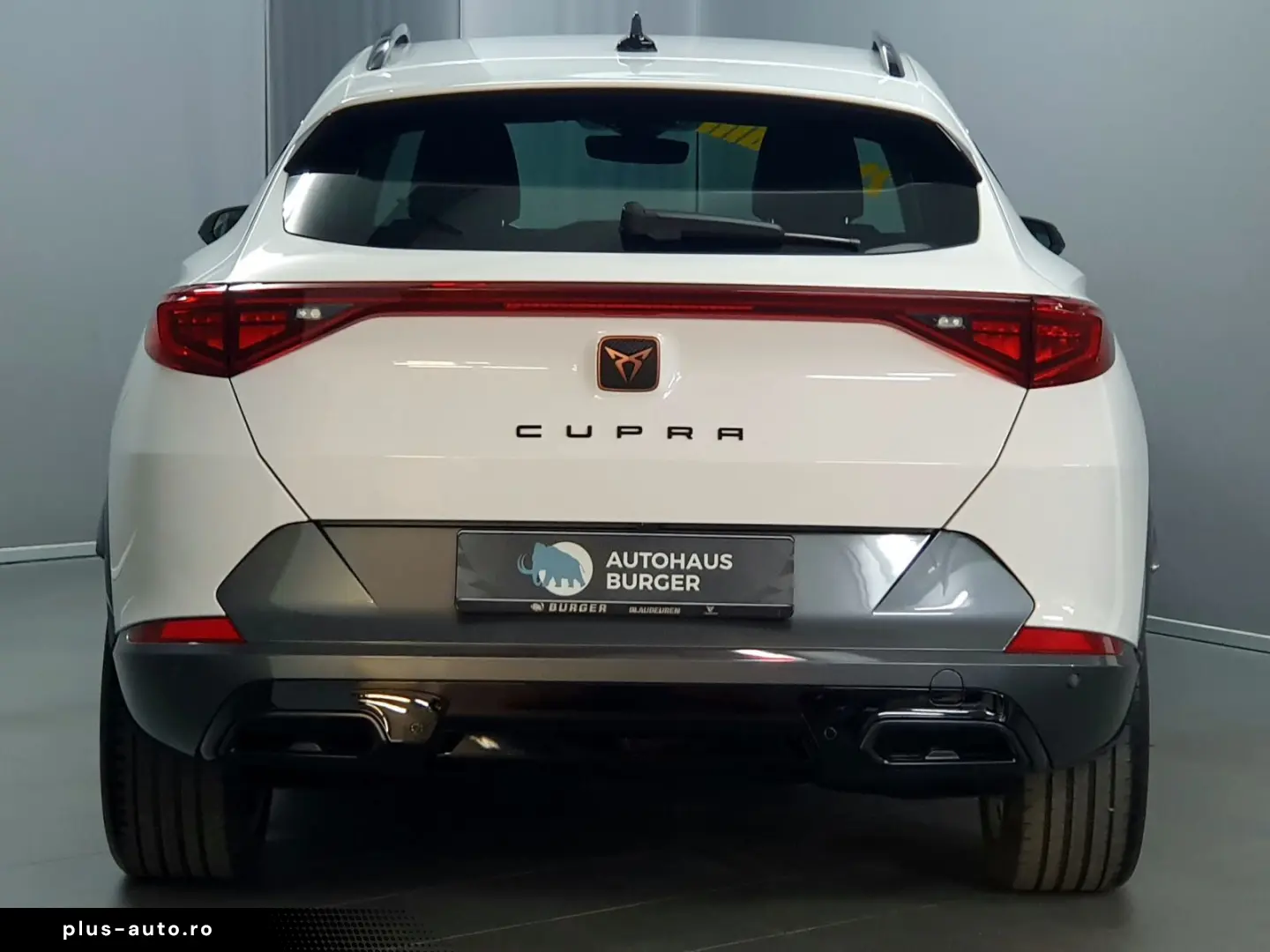 CUPRA Formentor 2.0TDI DSG 4Drive 2te Wahl Navi RFK