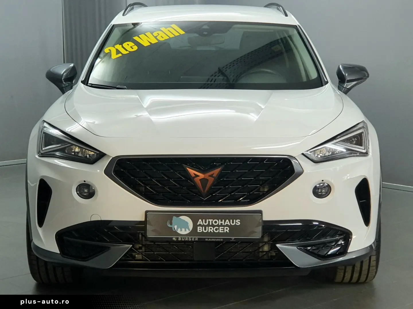 CUPRA Formentor 2.0TDI DSG 4Drive 2te Wahl Navi RFK