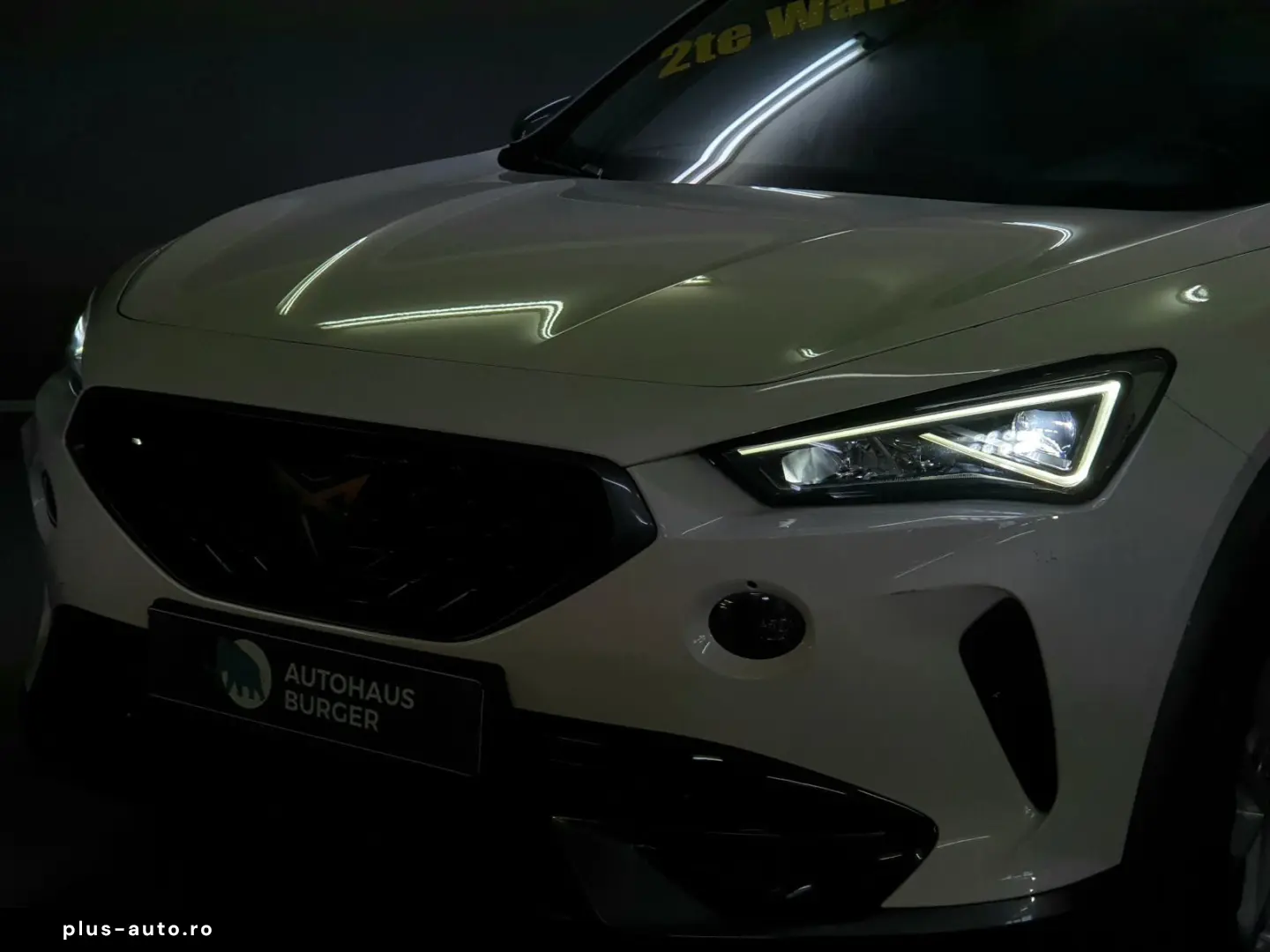 CUPRA Formentor 2.0TDI DSG 4Drive 2te Wahl Navi RFK