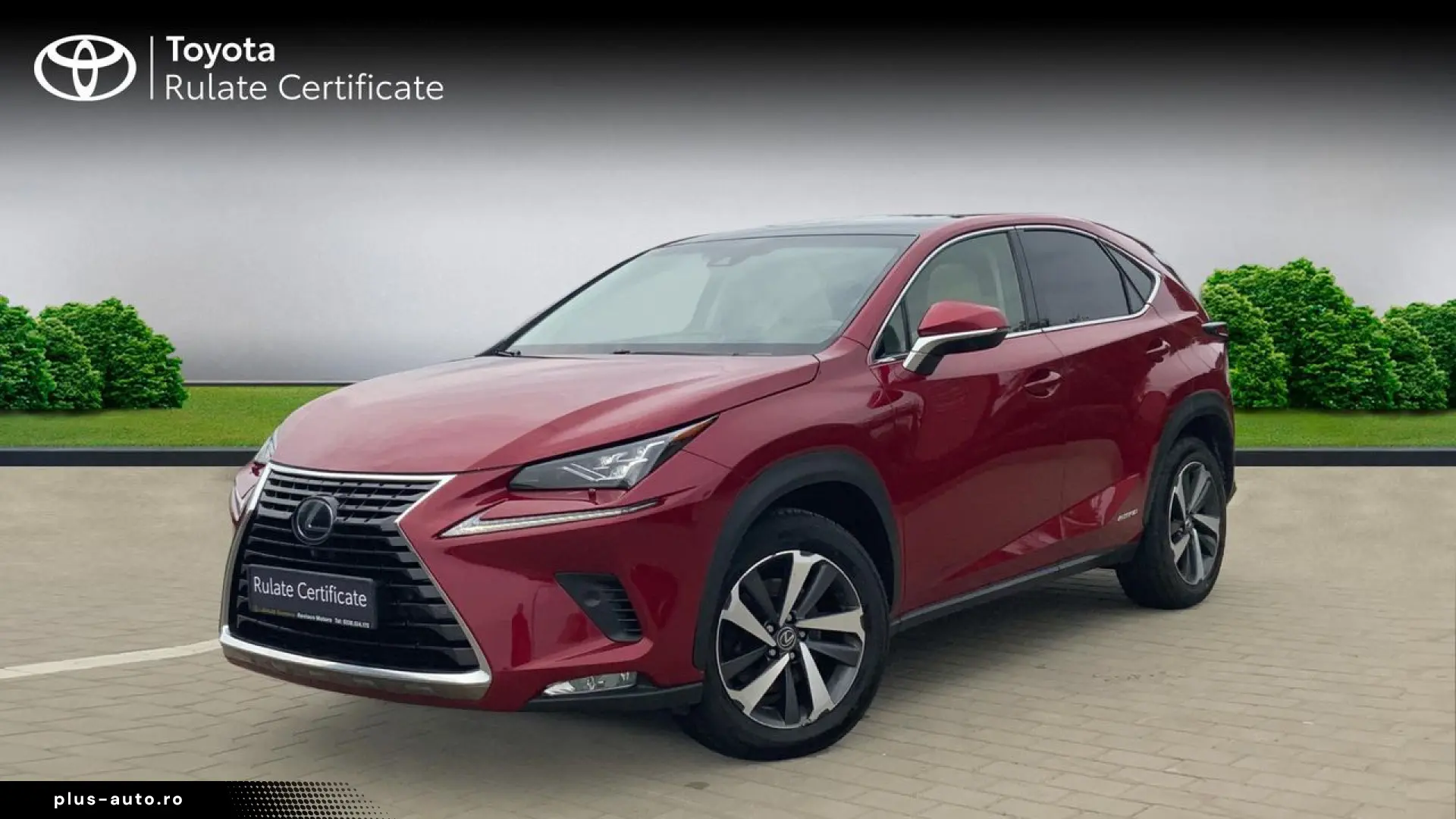 Lexus Serianx