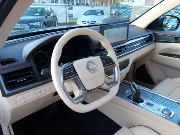 SSANGYONG REXTON Sapphire 4WD  Leder el.SD Alu20 Allwetter