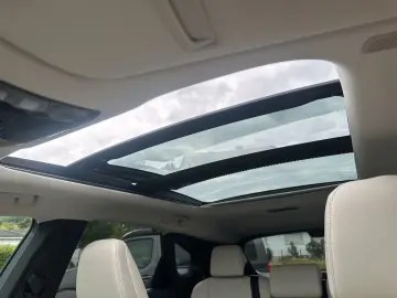 Lexus RX 450h Luxury Line - Panoramic
