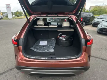 Lexus RX 450h Luxury Line - Panoramic