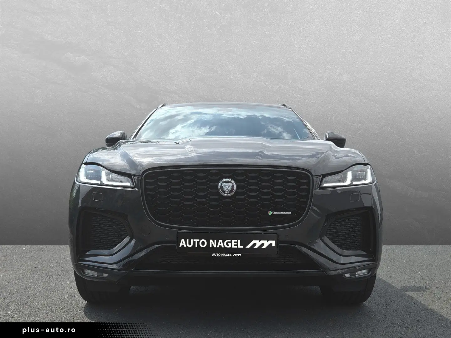 JAGUAR F-Pace D200 R-Dyn. BLACK  AHK ACC Pano Winter-P.