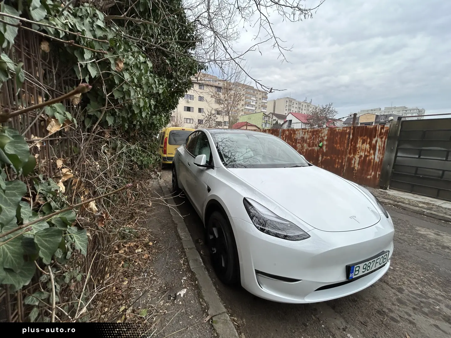 Tesla Model Y Long Range