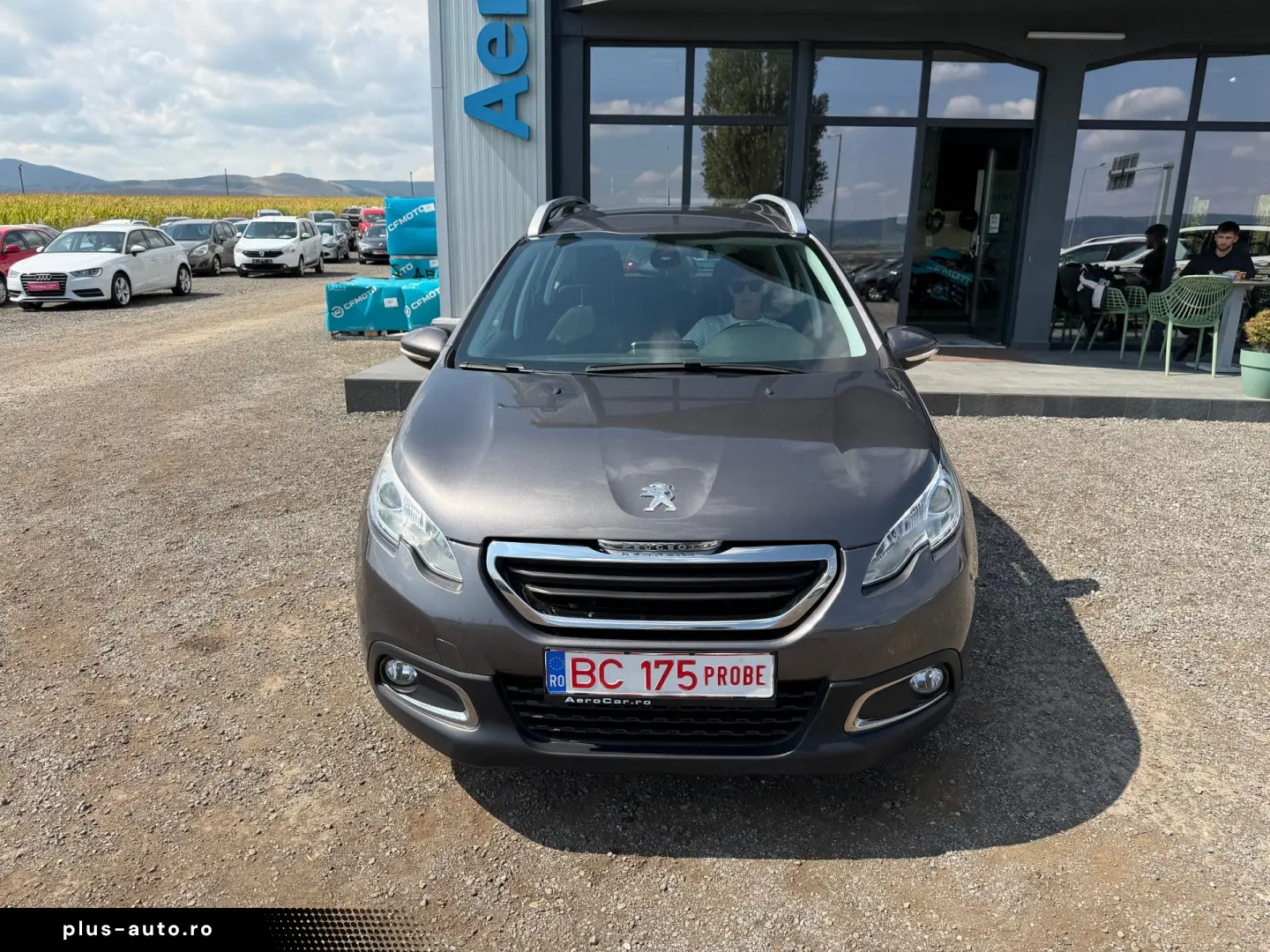 PEUGEOT 2008    AUTOMAT    DUBLU CLIMA    128.000 KM