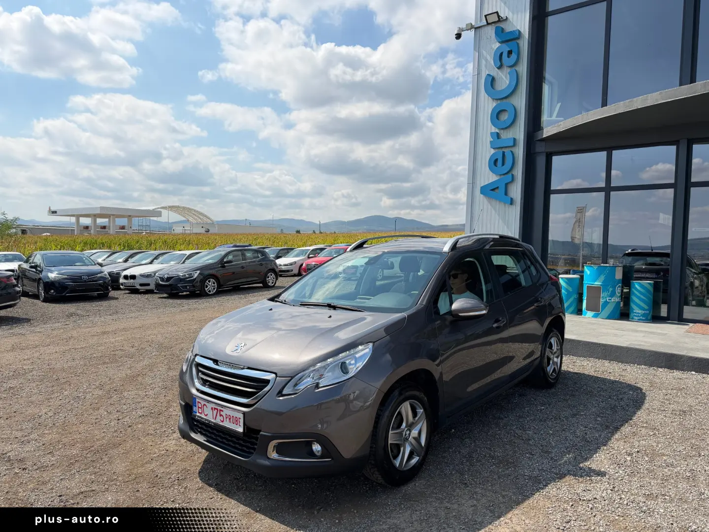 PEUGEOT 2008    AUTOMAT    DUBLU CLIMA    128.000 KM