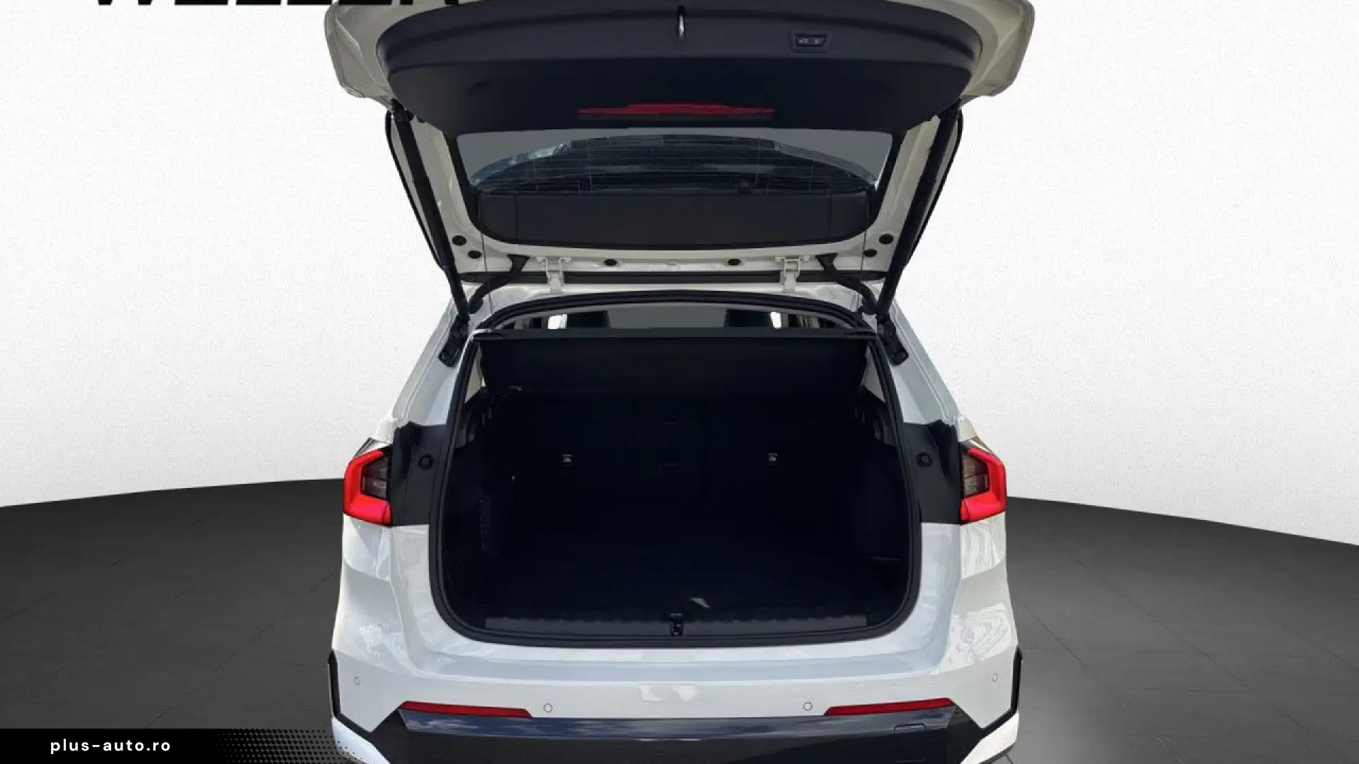 BMW X1 sDr20i xLine AktivSi AdLED AHK Kam H K St Go