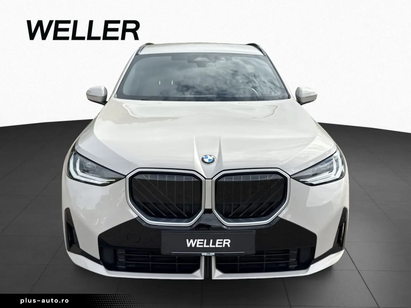 BMW X3 20 xDrive M-SPORT AHK KomfZu SHZG DrAs IcGlow