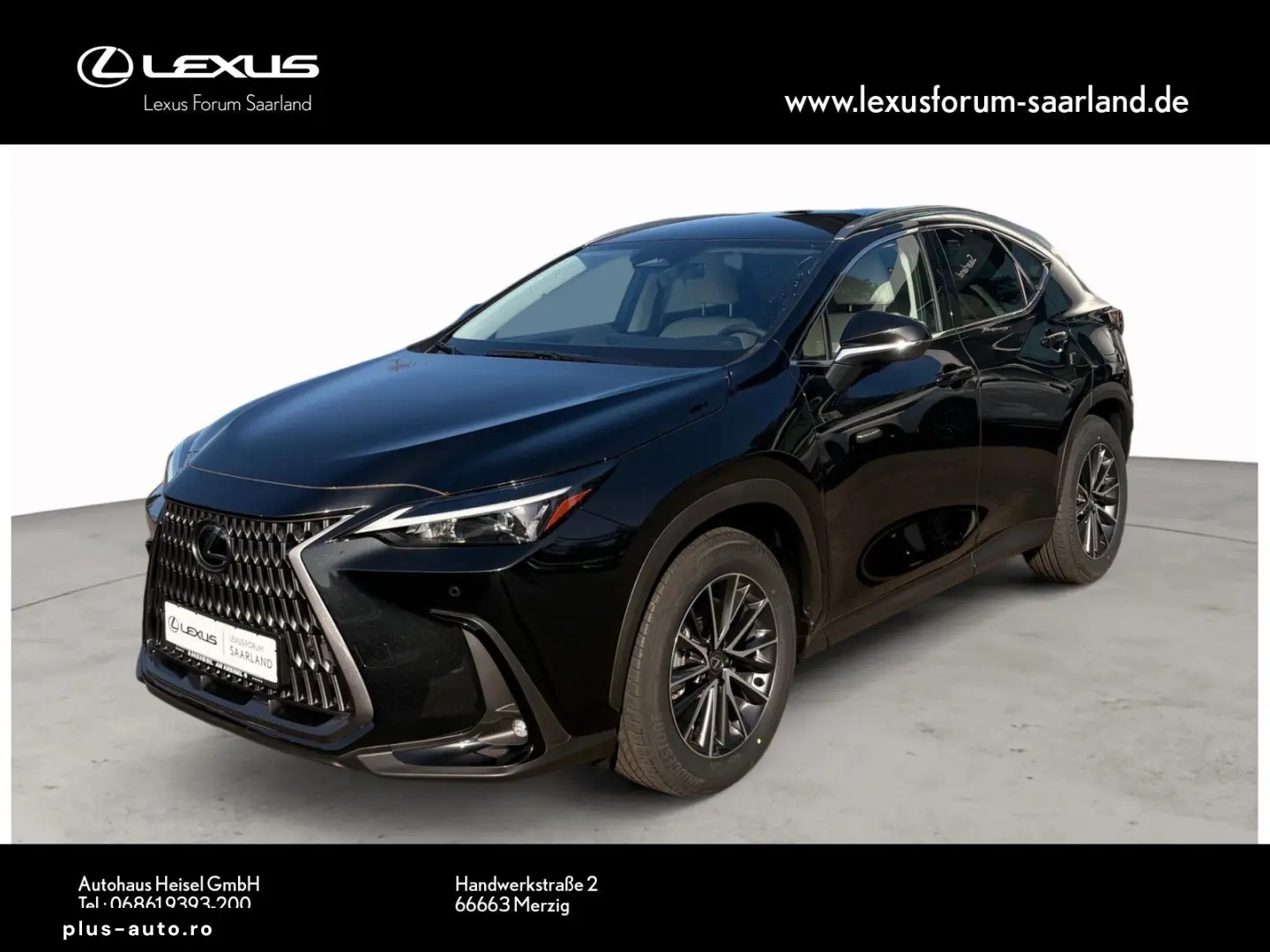 LEXUS NX450h  E-Four Business