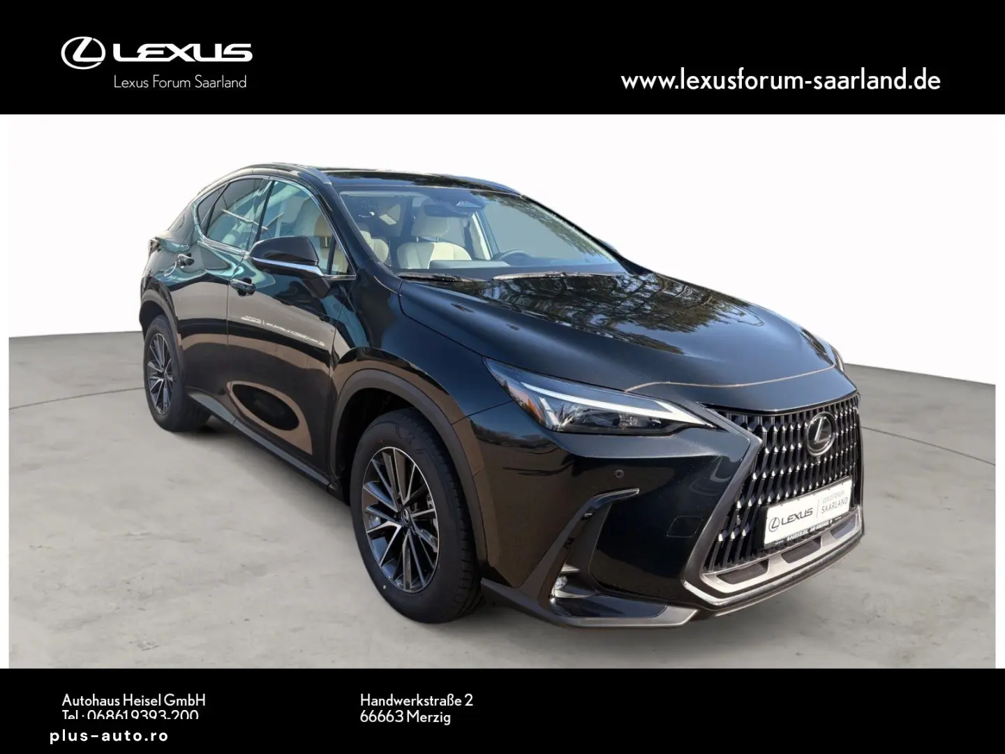 LEXUS NX450h  E-Four Business