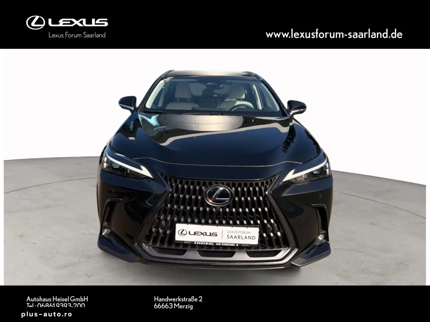 LEXUS NX450h  E-Four Business
