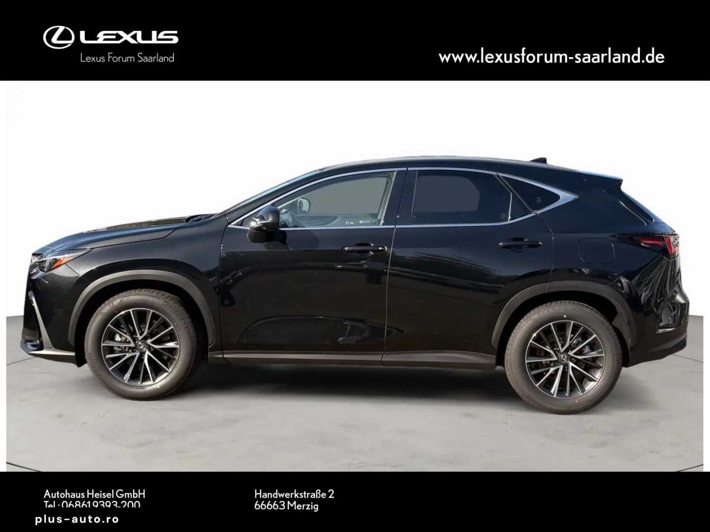 LEXUS NX450h  E-Four Business