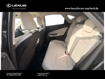 LEXUS NX450h  E-Four Business