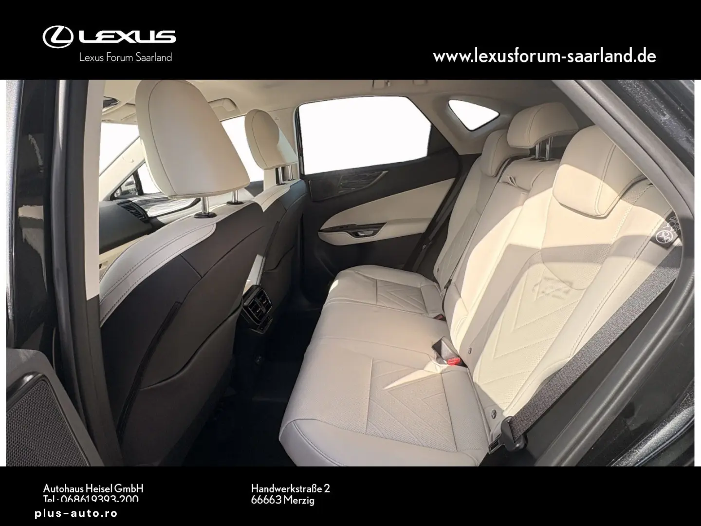LEXUS NX450h  E-Four Business