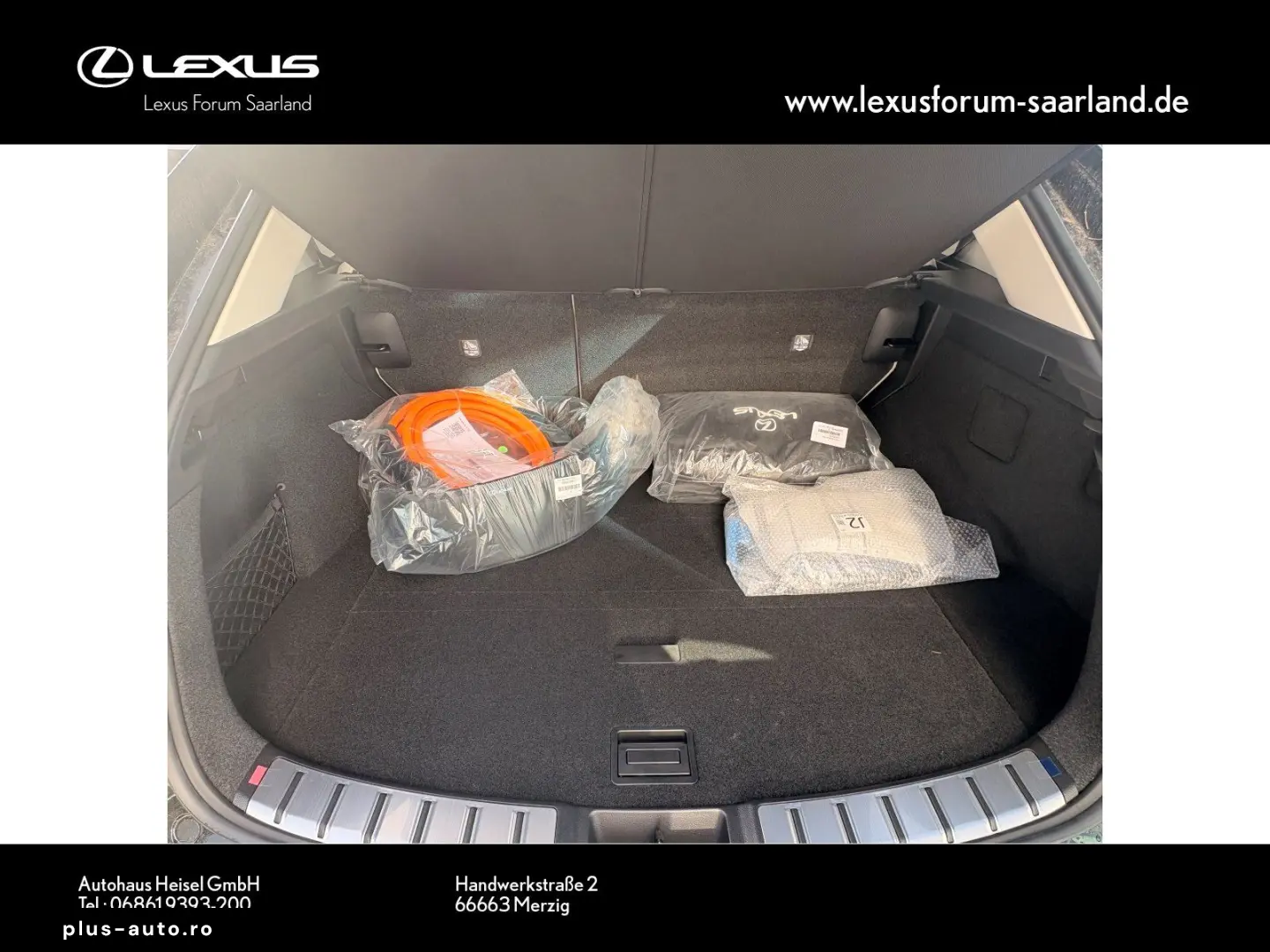 LEXUS NX450h  E-Four Business