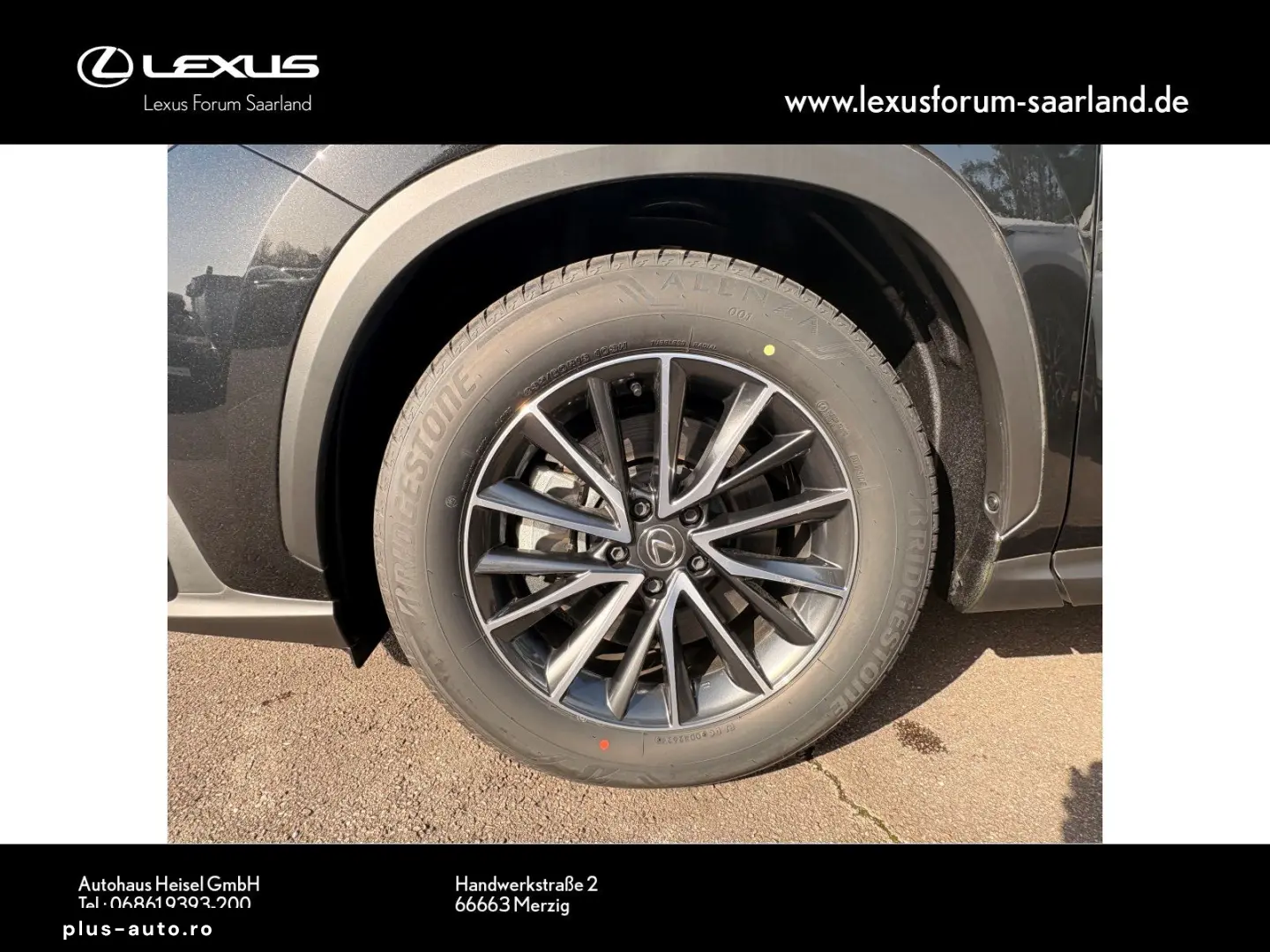 LEXUS NX450h  E-Four Business