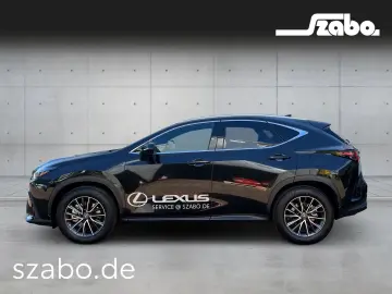 LEXUS NX 450h  E-Four Business Line
