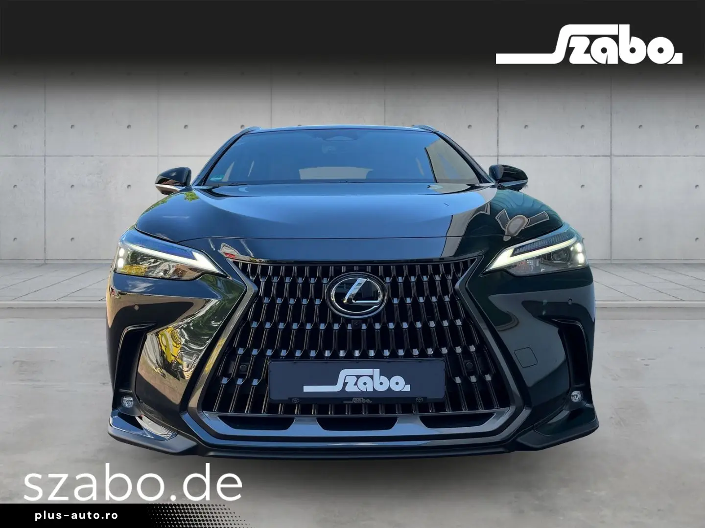 LEXUS NX 450h  E-Four Business Line