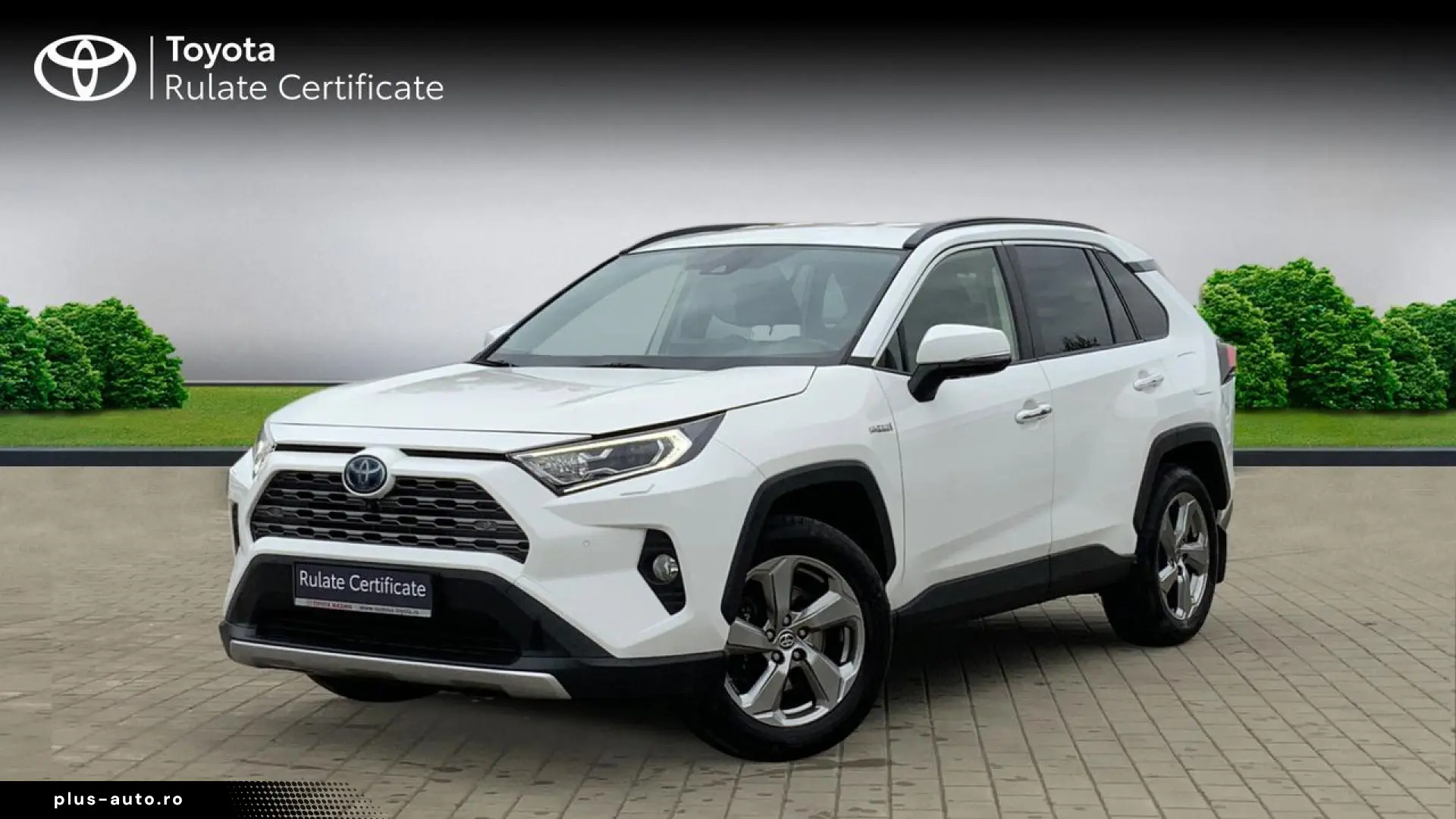 Toyota Rav-4