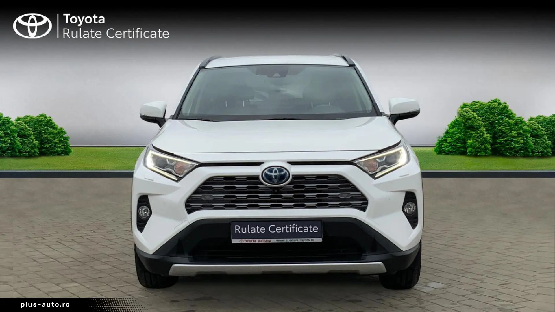 Toyota Rav-4
