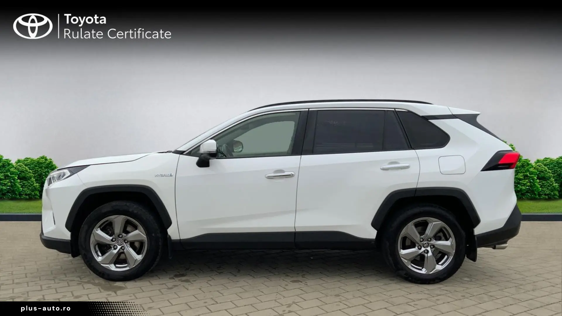 Toyota Rav-4
