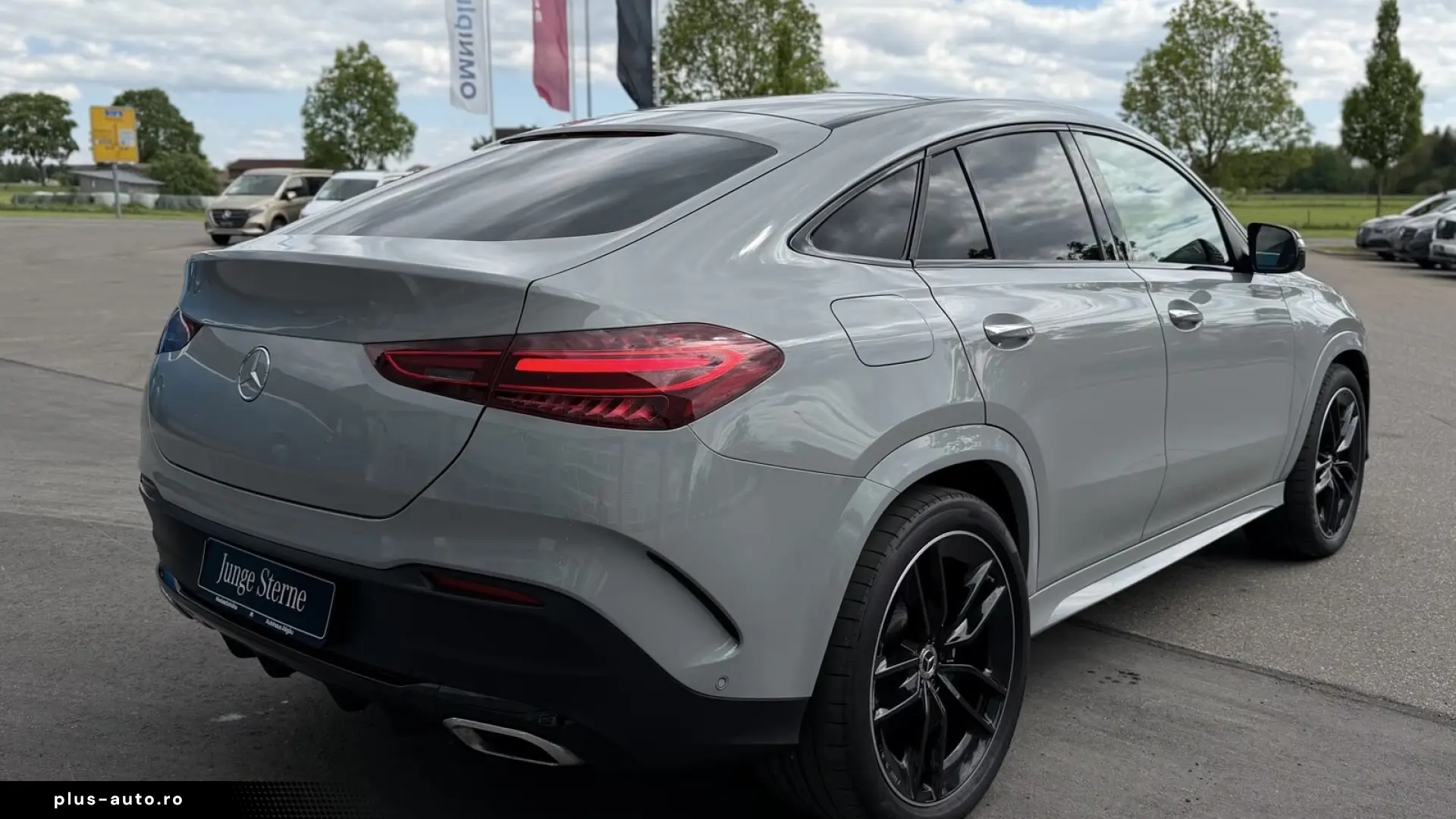Mercedes-Benz GLE 450 d 4M AMG Night 22 Airmatic AHK Pano360